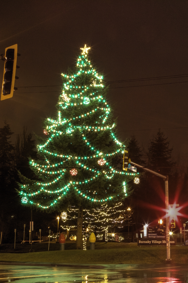 FestiLight - Christmas Light Installation Vancouver | 43 – 3031 Williams Road, Richmond, BC V7E 1H9, Canada | Phone: (855) 733-7845