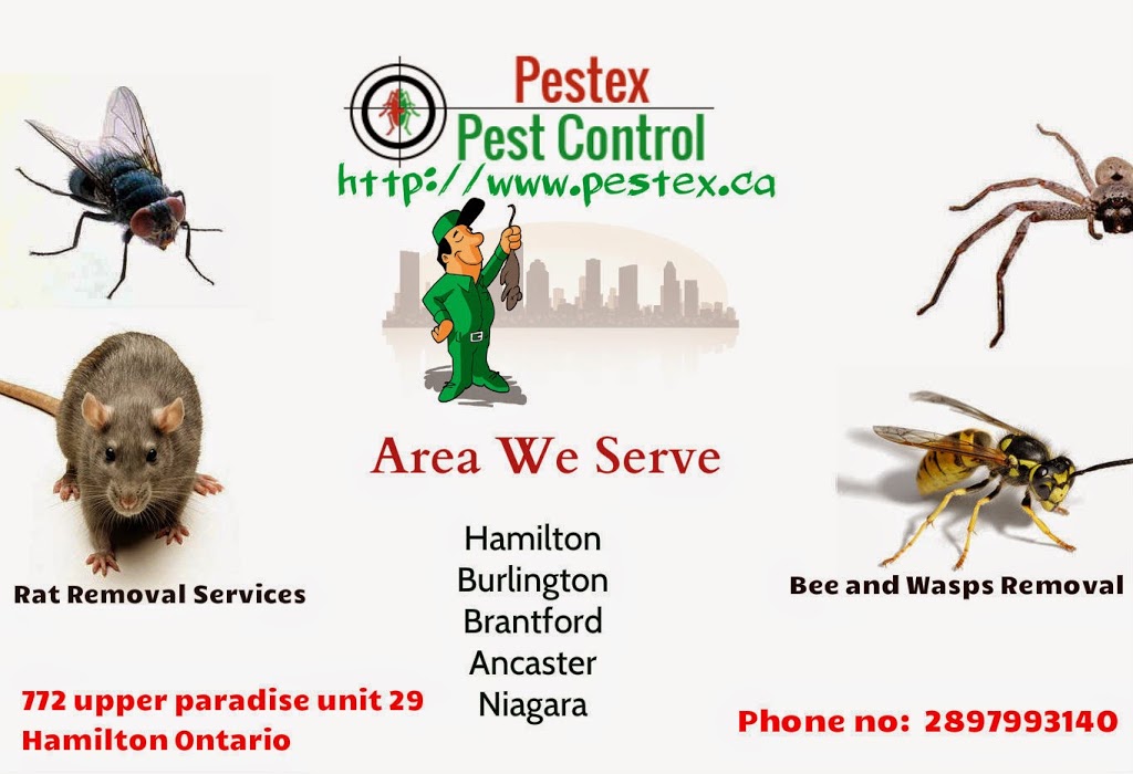 Pest Exterminators Hamilton | Hamilton, ON L8H 7P8, Canada | Phone: (289) 799-3140