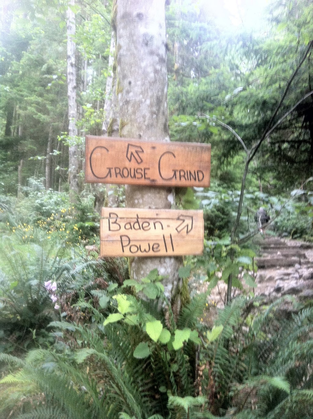 Grouse Grind Trail | 6400 Nancy Greene Way, North Vancouver, BC V7R 4K9, Canada | Phone: (604) 224-5739