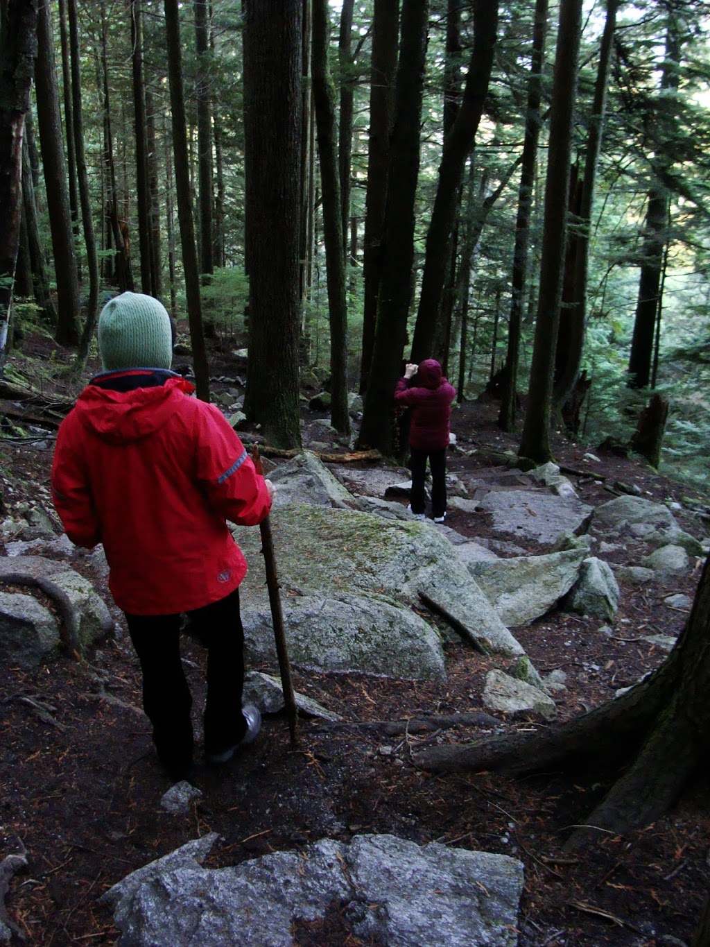 Upper Shannon Falls Trail | Squamish, BC V0N 1T0, Canada