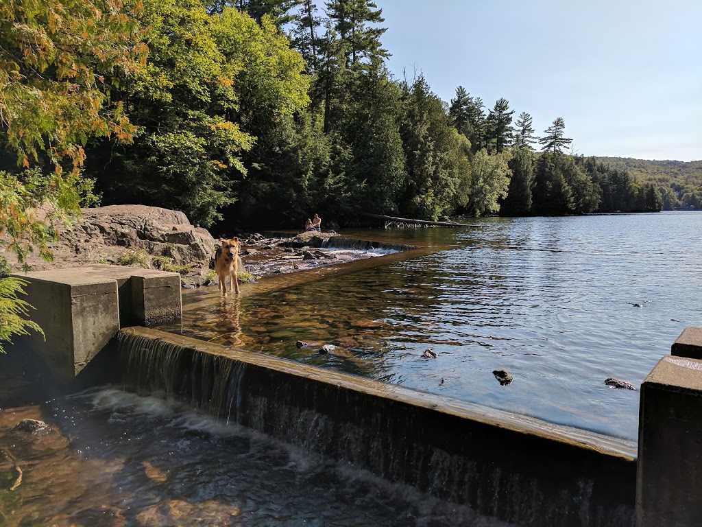 O’Brien Beach | Chemin du Lac Meech, Chelsea, QC J9B 1H9, Canada