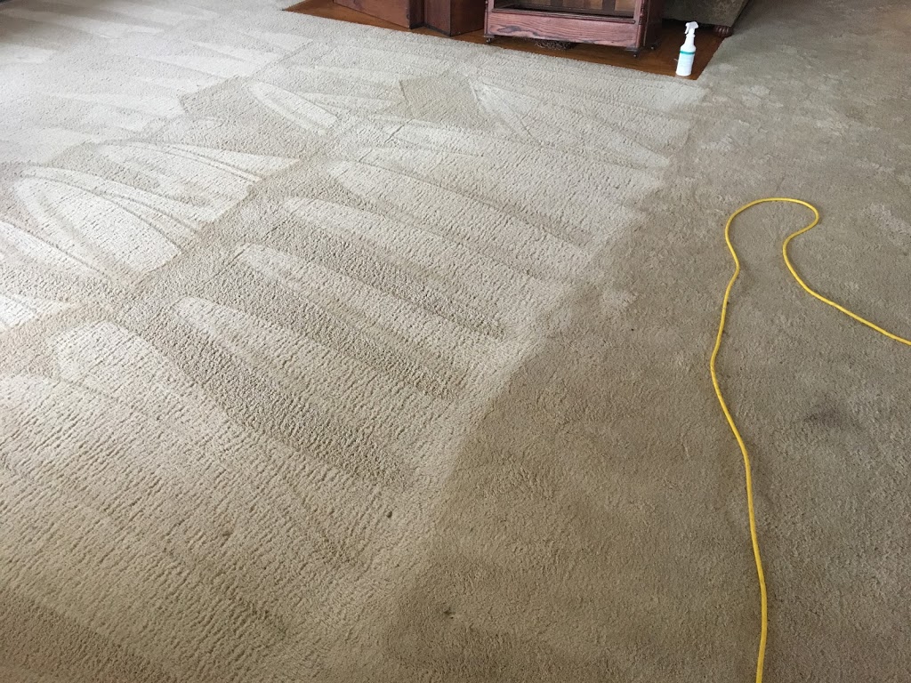 Carpet Doctor | Gasport, NY 14067, USA | Phone: (716) 772-7847