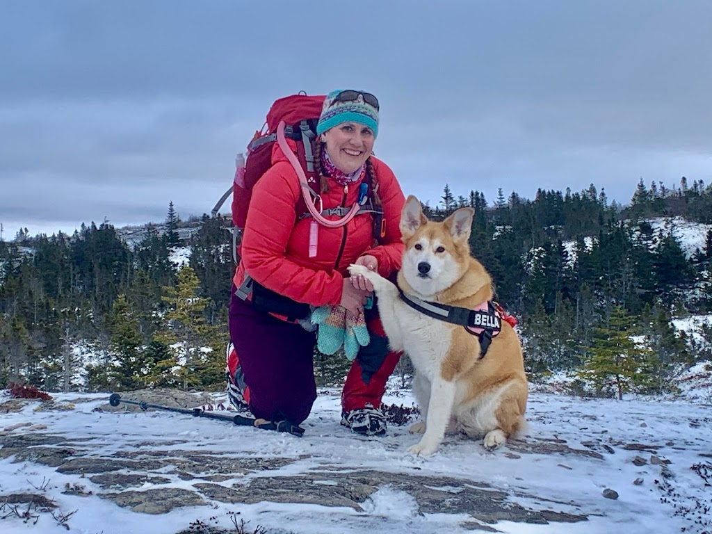 Wind at your Back Guided Adventures | Hearts Delight, 354 Main Rd, Normans Cove, NL A0B 2A0, Canada | Phone: (709) 589-4170