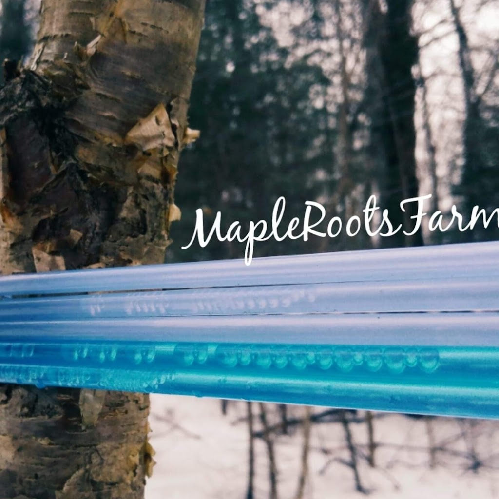 Maple Roots Farm | 1227 Pilgers Rd, Nipissing, ON P0H 1W0, Canada | Phone: (705) 729-1938