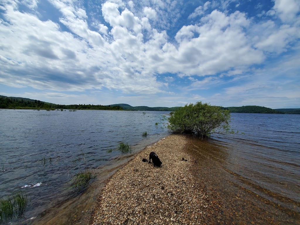 Kiamika Regional Park | Réservoir Kiamika, Rivière-Rouge, QC J0T 1T0, Canada | Phone: (819) 278-5402