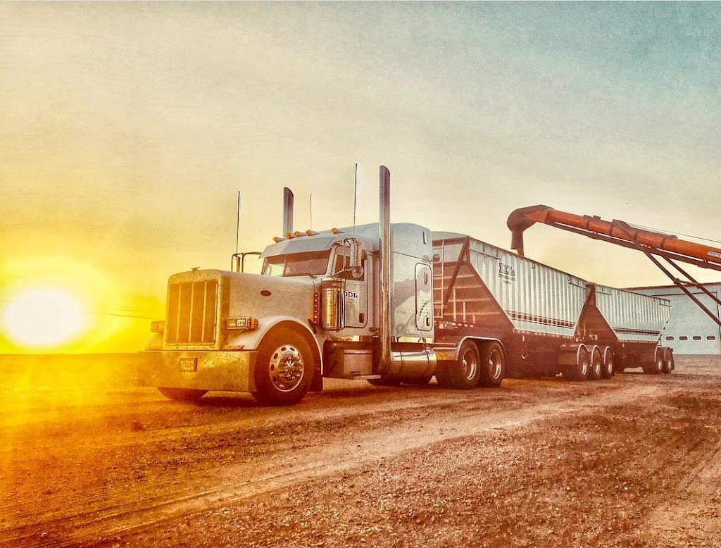 DDL Trucking Ltd. | 174065, Township Rd 100, Barnwell, AB T0K 0B0, Canada | Phone: (403) 715-2138