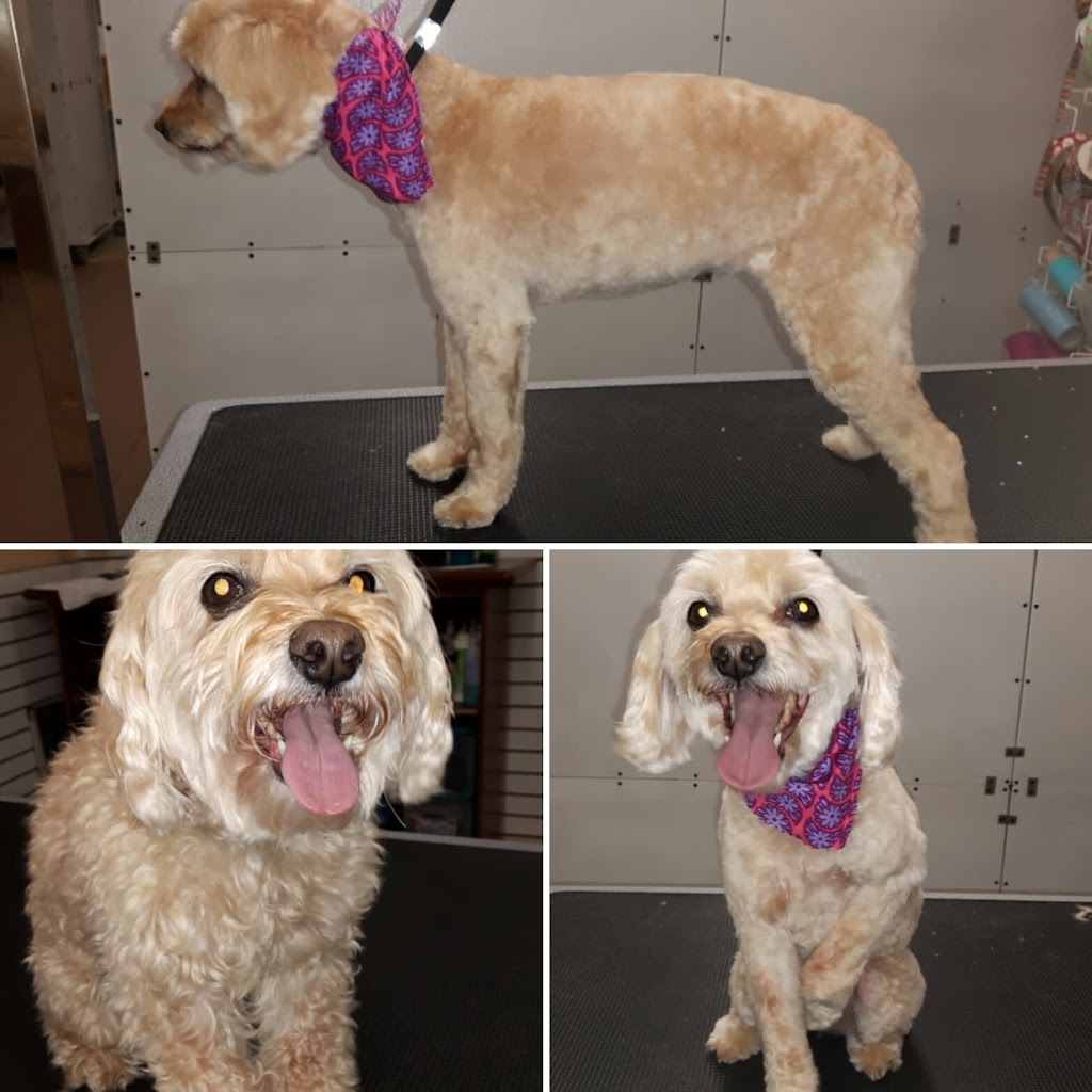Woof N Cuts | 50 Dr Kay Dr, Schomberg, ON L0G 1T0, Canada | Phone: (905) 939-9339
