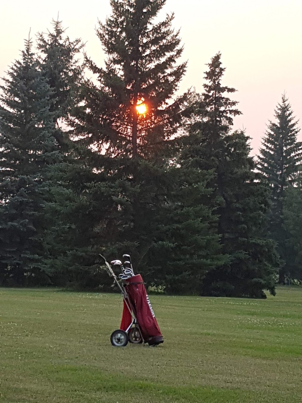 Willow Greens Golf Resort | AB-771, Westerose, AB T0C 2V0, Canada | Phone: (780) 586-2071