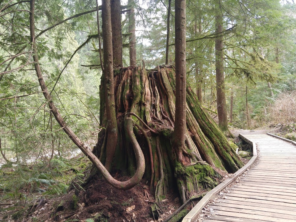 Cedar Mills Trail free parking | 4654-4800 Lynn Valley Rd, North Vancouver, BC V7K 3B2, Canada