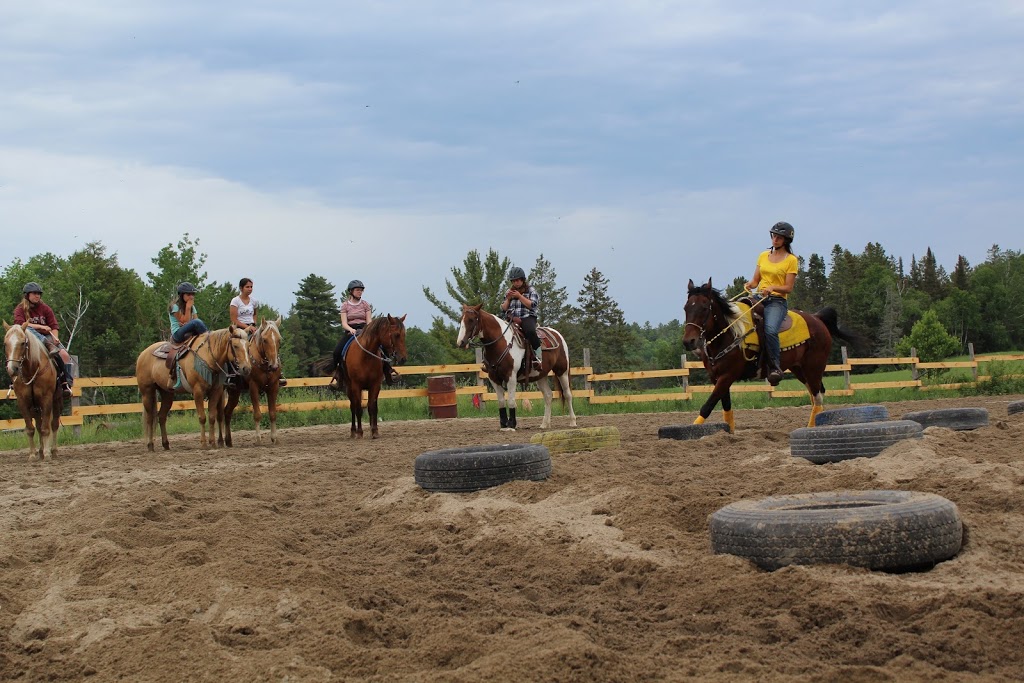 Villeneuve Ranch | 327 La Cloche Lake Rd, Massey, ON P0P 1P0, Canada | Phone: (705) 869-8852