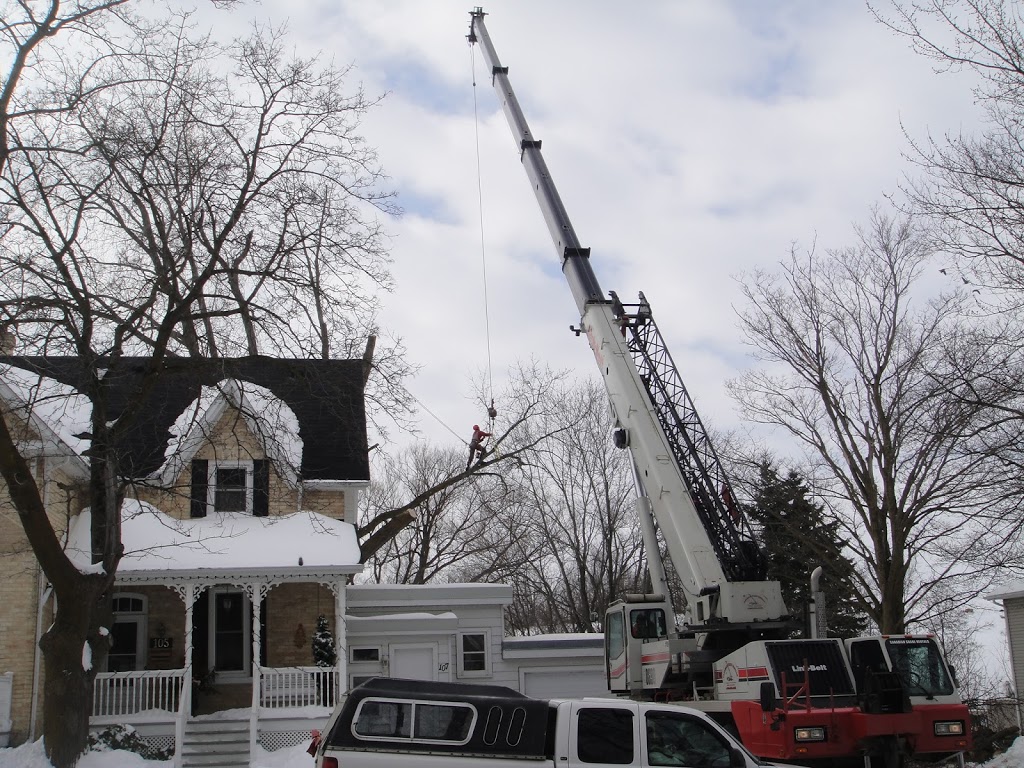 Saugeen Tree Care | 296 Concession Rd 6 E, Mildmay, ON N0G 2J0, Canada | Phone: (519) 901-3208