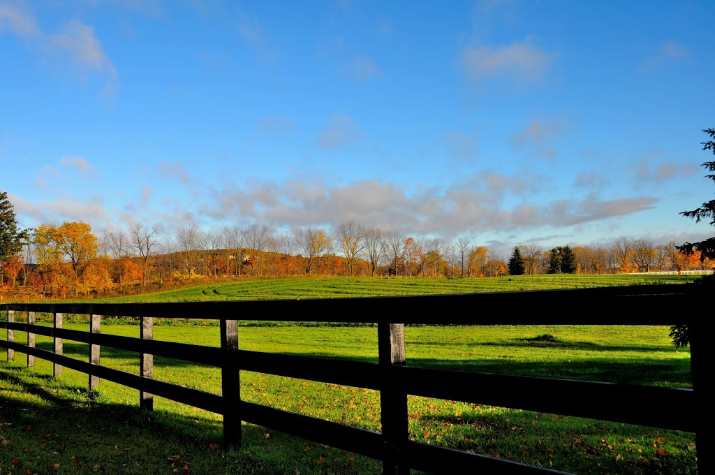 Chris Delia Stables | 6391 Walkers Line, Burlington, ON L7M 0P7, Canada | Phone: (905) 467-0550