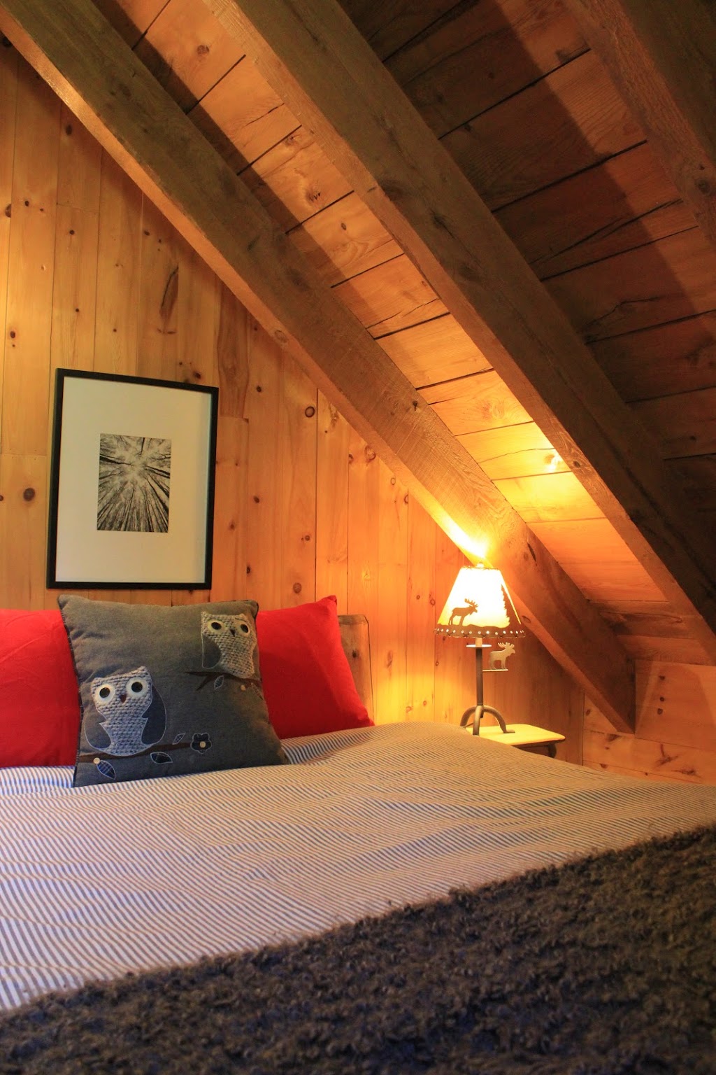 Chalet Petit Ours Noir | 7059 rue du pionnier, Wentworth-Nord, QC J0T 1Y0, Canada | Phone: (514) 616-0603