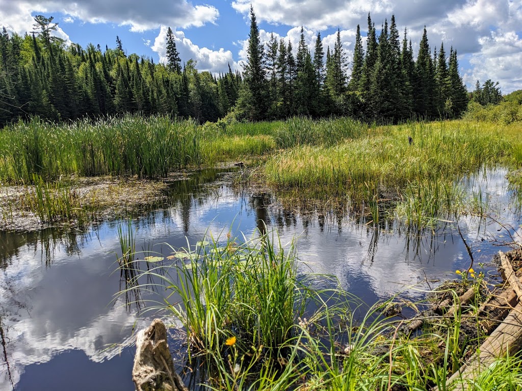 Hunt Lake Hiking Trail | Trans-Canada Hwy, Whiteshell, MB R0E 2H0, Canada | Phone: (204) 369-3157