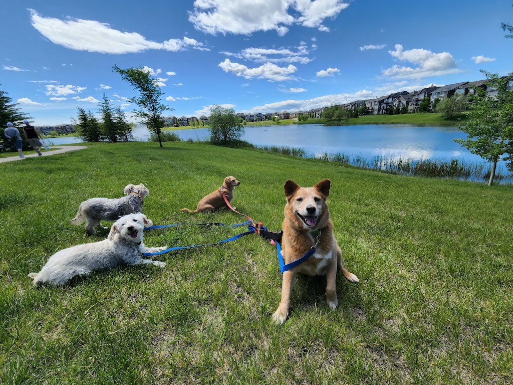 Paws On A Journey | 99 Ave SE, Calgary, AB T2V 2Z3, Canada | Phone: (587) 892-4455