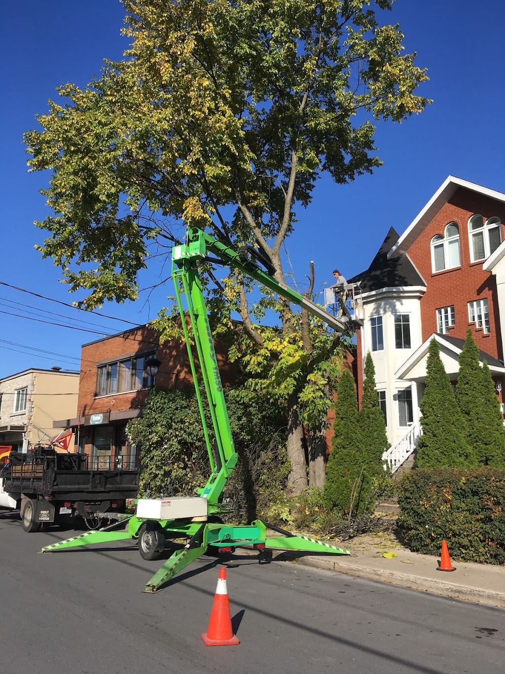 TAS Tree Pruning & Removal | 33 Rue Watterson, Baie-dUrfé, QC H9X 3C5, Canada | Phone: (514) 701-2684
