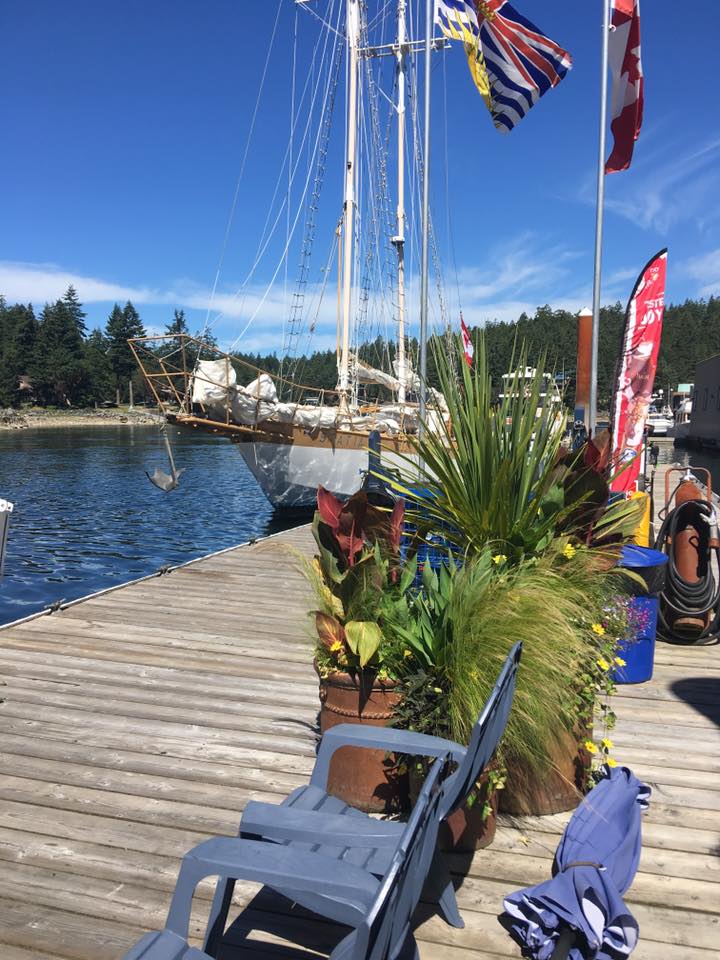 Secret Cove Marina & Store | 5411 Secret Cove Rd, Halfmoon Bay, BC V7Z 1B7, Canada | Phone: (604) 885-3533