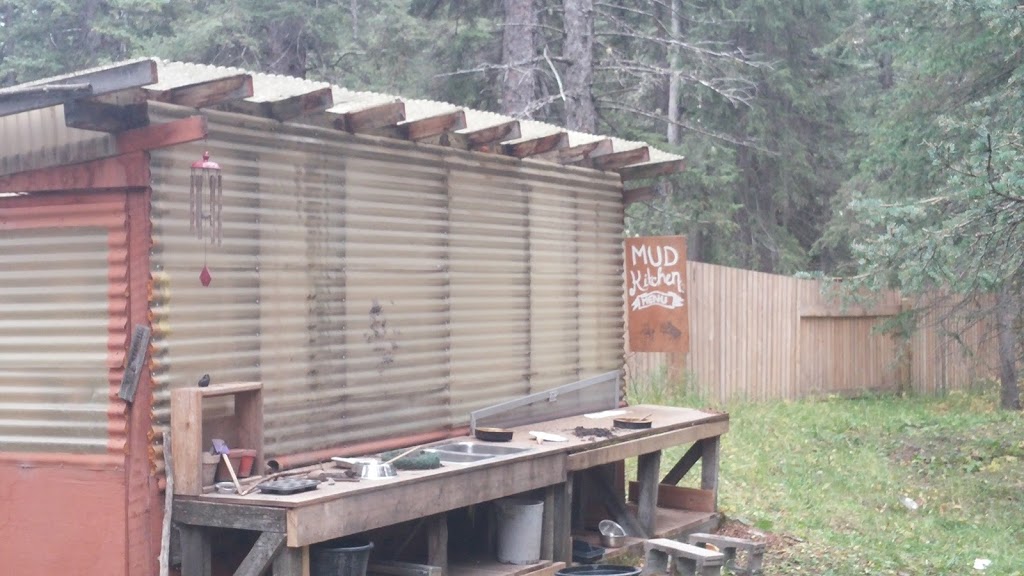 Wild Child Forest & Nature School | 35 White Crescent, Bragg Creek, AB T0L 0K0, Canada | Phone: (403) 949-4909