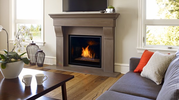 Regency Fireplace Products | 6988 Venture St, Delta, BC V4G 1H4, Canada | Phone: (604) 946-5155