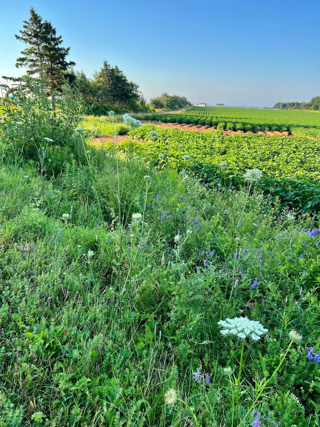 Oceantide PEI Cottages | 89 Ocean Tide Ln, Bonshaw, PE C0A 1C0, Canada | Phone: (902) 629-5090