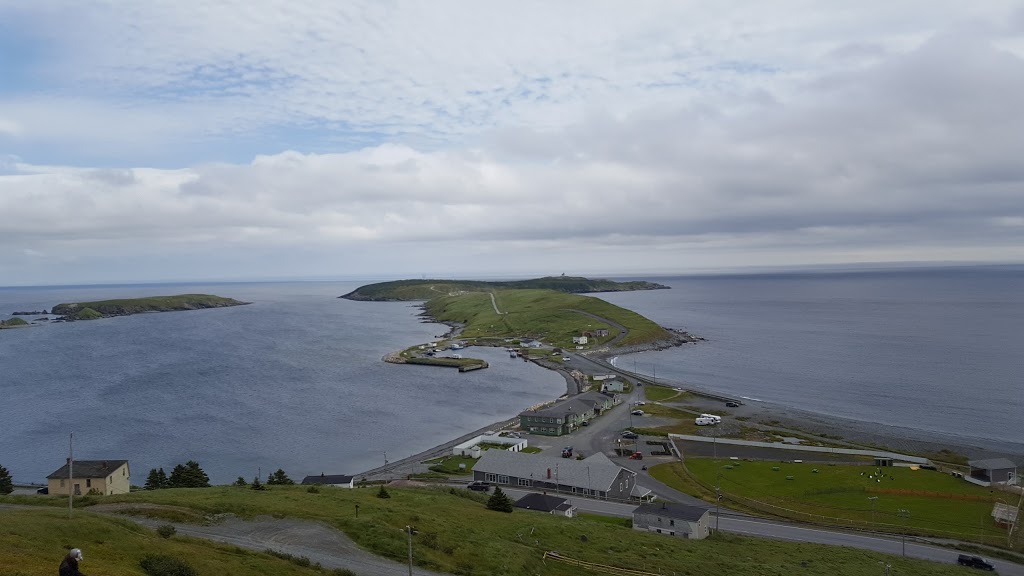 Southern Shore Shamrock Festival | Ferryland, NL A0A 1A0, Canada | Phone: (709) 432-2052