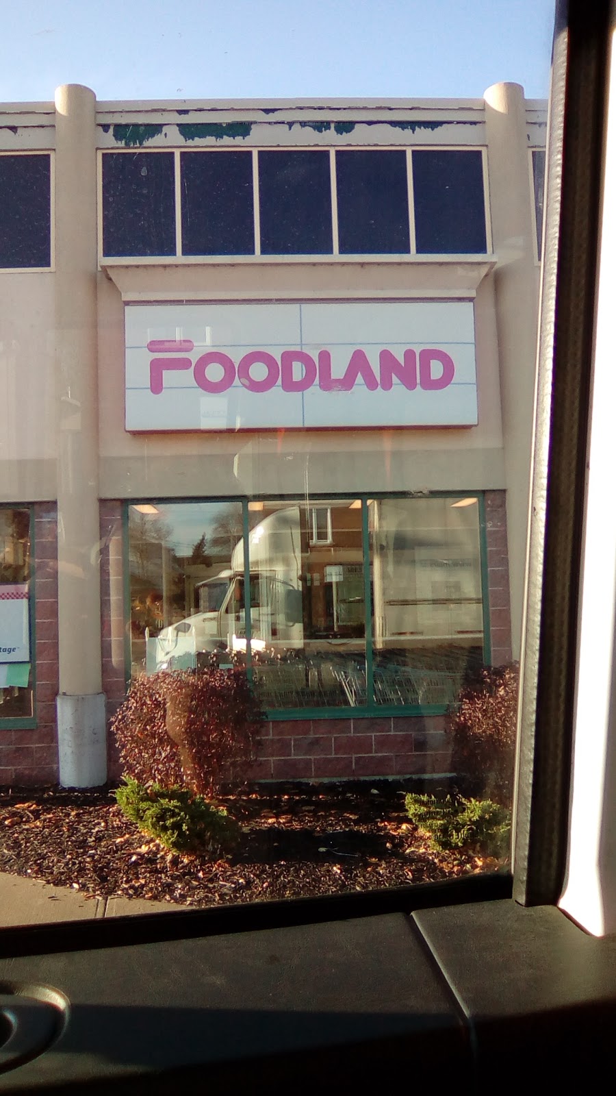 Foodland - Hagersville | 34 King St E, Hagersville, ON N0A 1H0, Canada | Phone: (905) 768-3571