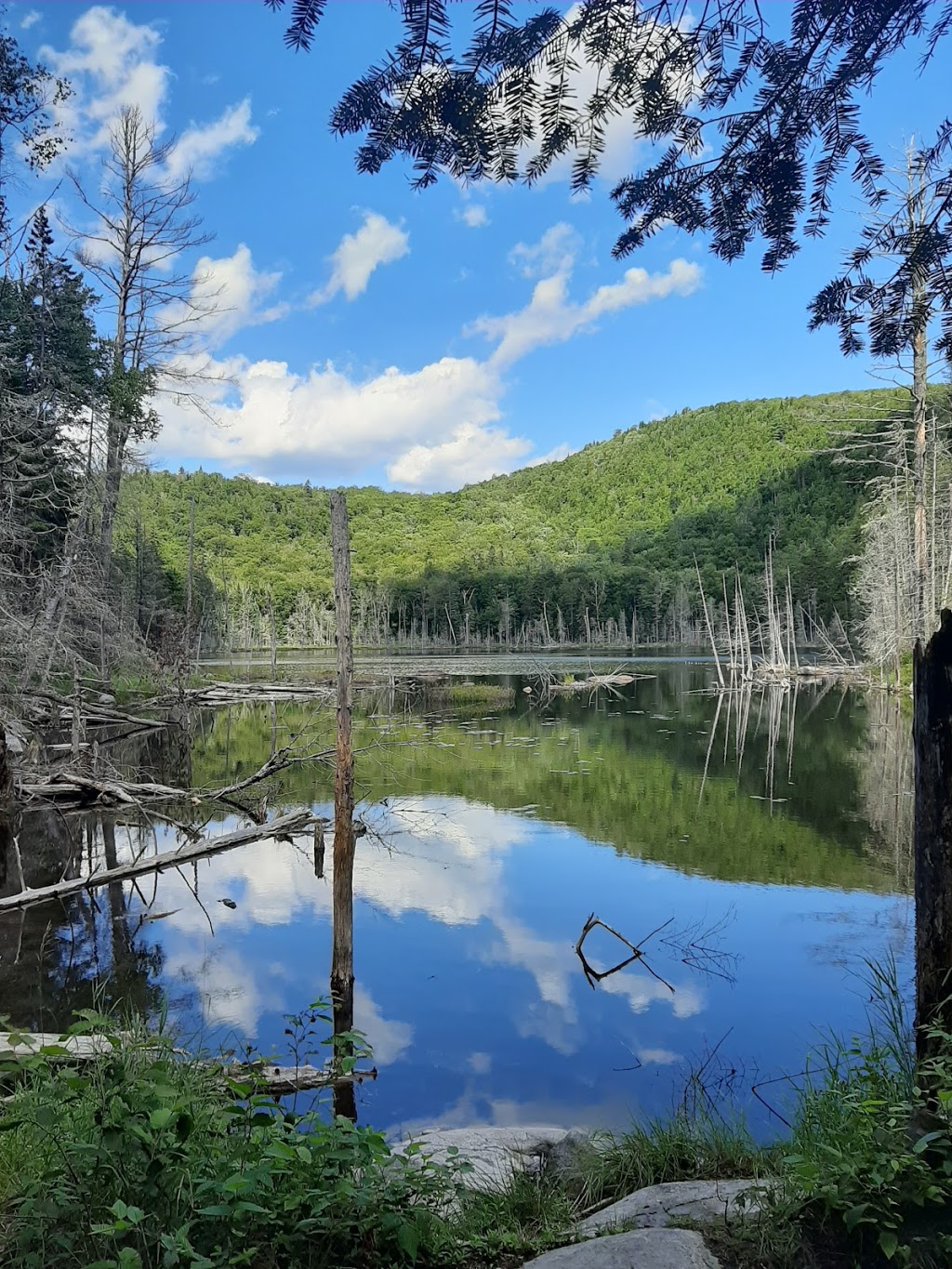 La Chouette Refuge at Mont-Sourire | Saint-Donat-de-Montcalm, QC J0T 2C0, Canada | Phone: (819) 424-2833