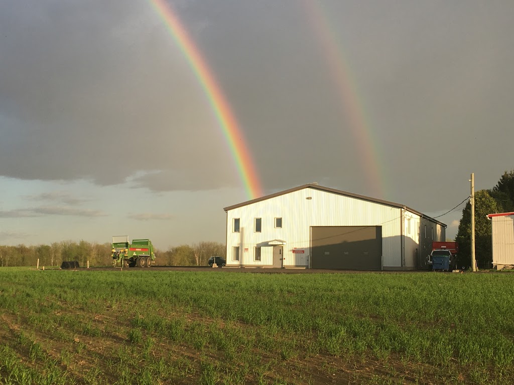 Farm Daniel Lafortune | 7705 Chemin du Rapide-Plat N, Saint-Hyacinthe, QC J2R 1H5, Canada