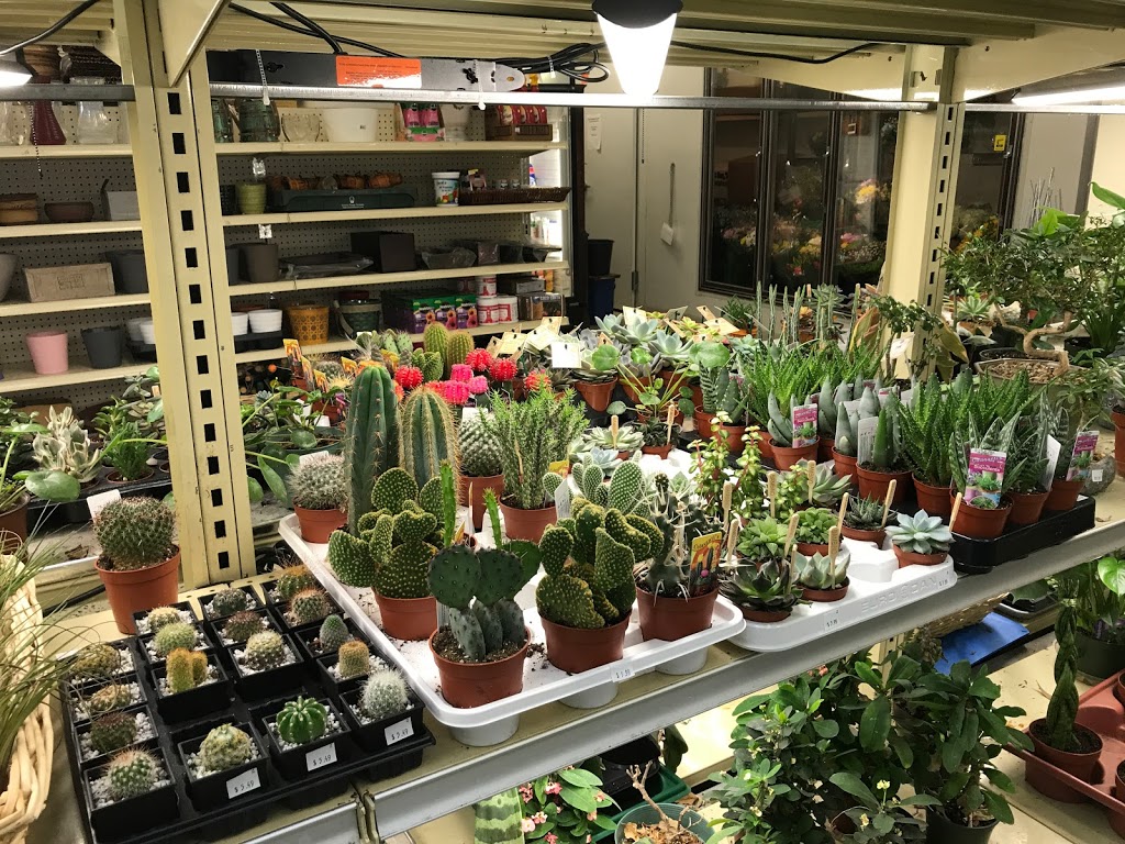 Truspeers Garden & Florist | 36 Scarlett Rd, York, ON M6N 4K1, Canada | Phone: (647) 436-9900