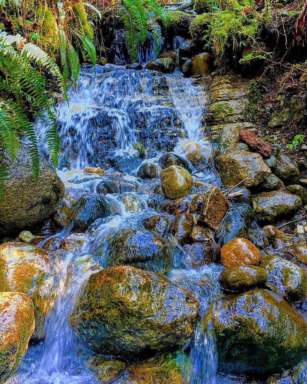 Lower Seymour Conservation Reserve | 2369 Lillooet Rd, North Vancouver, BC V7J 2H9, Canada | Phone: (778) 452-4583