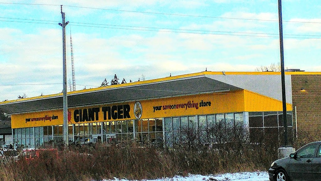 Giant Tiger | 477 Huron St, Stratford, ON N5A 5T8, Canada | Phone: (519) 272-2029