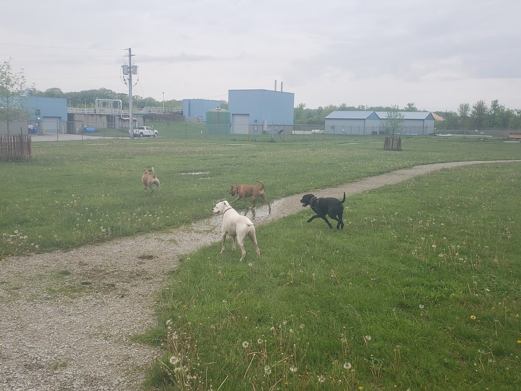 Linden Beach Dog Park | 103 Golfview Dr, Kingsville, ON N9Y 0A6, Canada | Phone: (519) 733-2305