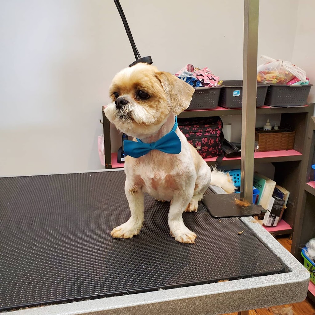 Highland Dog Grooming | 28 York St, Haliburton, ON K0M 1S0, Canada | Phone: (705) 457-3335