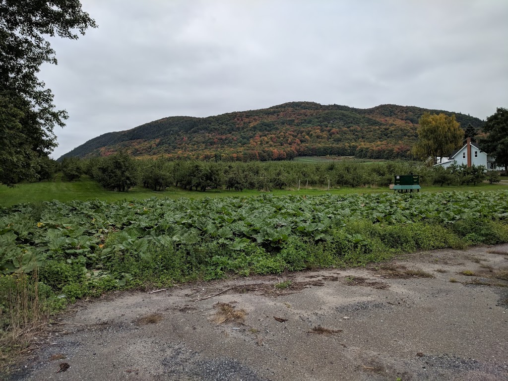 Marche | Rang de la Montagne, Saint-Paul-dAbbotsford, QC J0E 1A0, Canada