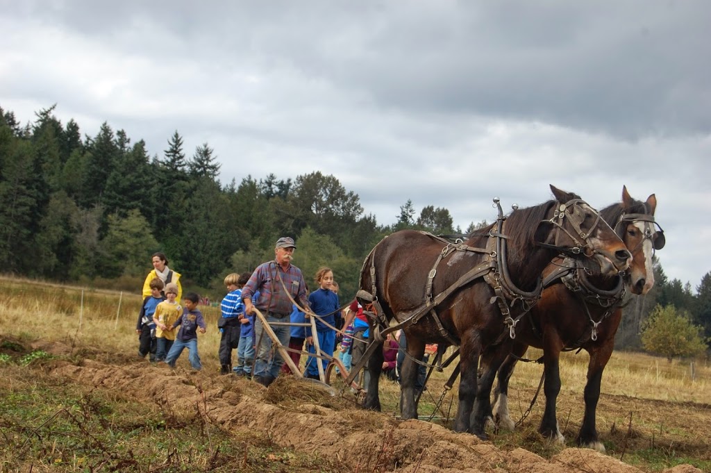 Whatcom Hills Waldorf School | 941 Austin St, Bellingham, WA 98229, USA | Phone: (360) 733-3164