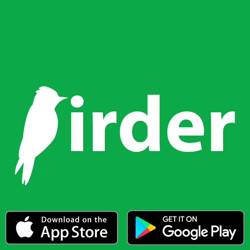 Birder | 9330 Rue Basile-Routhier, Montréal, QC H2M 1T8, Canada | Phone: (514) 503-7563