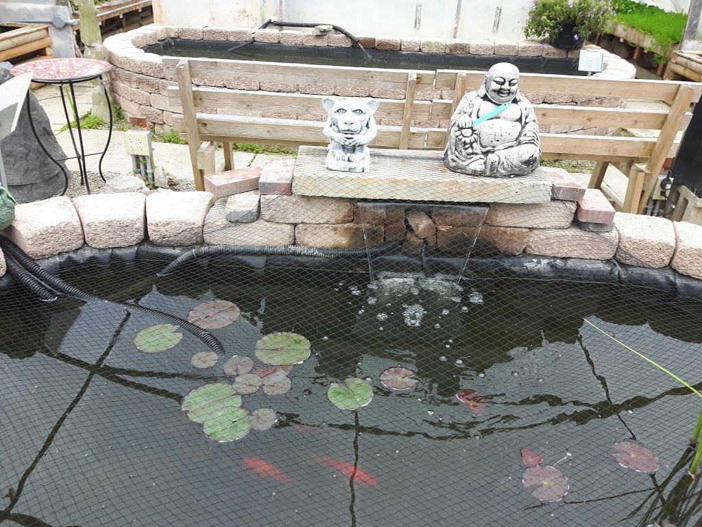 The Bloomin Bog Water Gardens | 22049 Hyde Park Rd N, Ilderton, ON N0M 2A0, Canada | Phone: (519) 666-0132