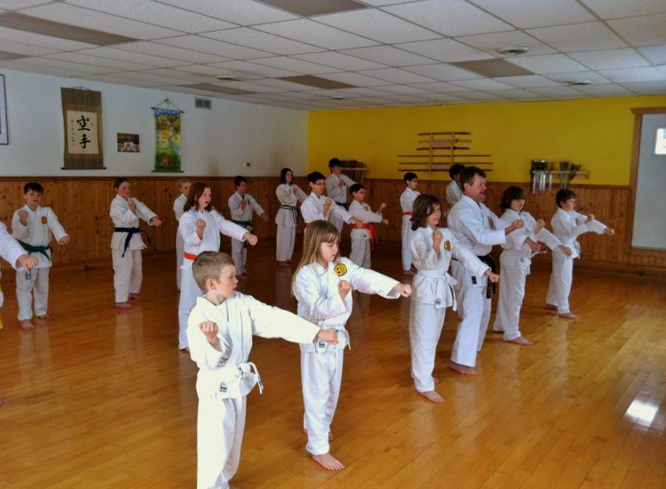 Elora Gorge Karate Dojo | 61 Price St, Elora, ON N0B 1S0, Canada | Phone: (519) 846-9002