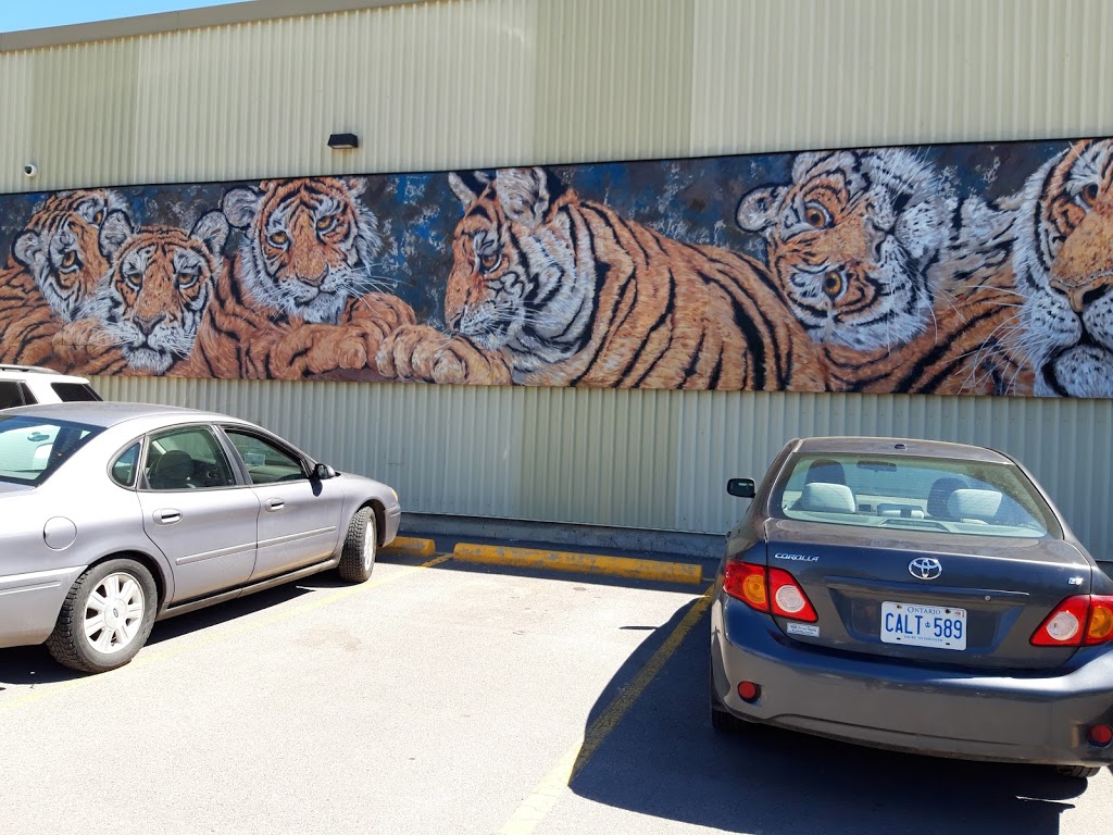 Giant Tiger | 88 Dufferin St, Perth, ON K7H 3A7, Canada | Phone: (613) 267-6621