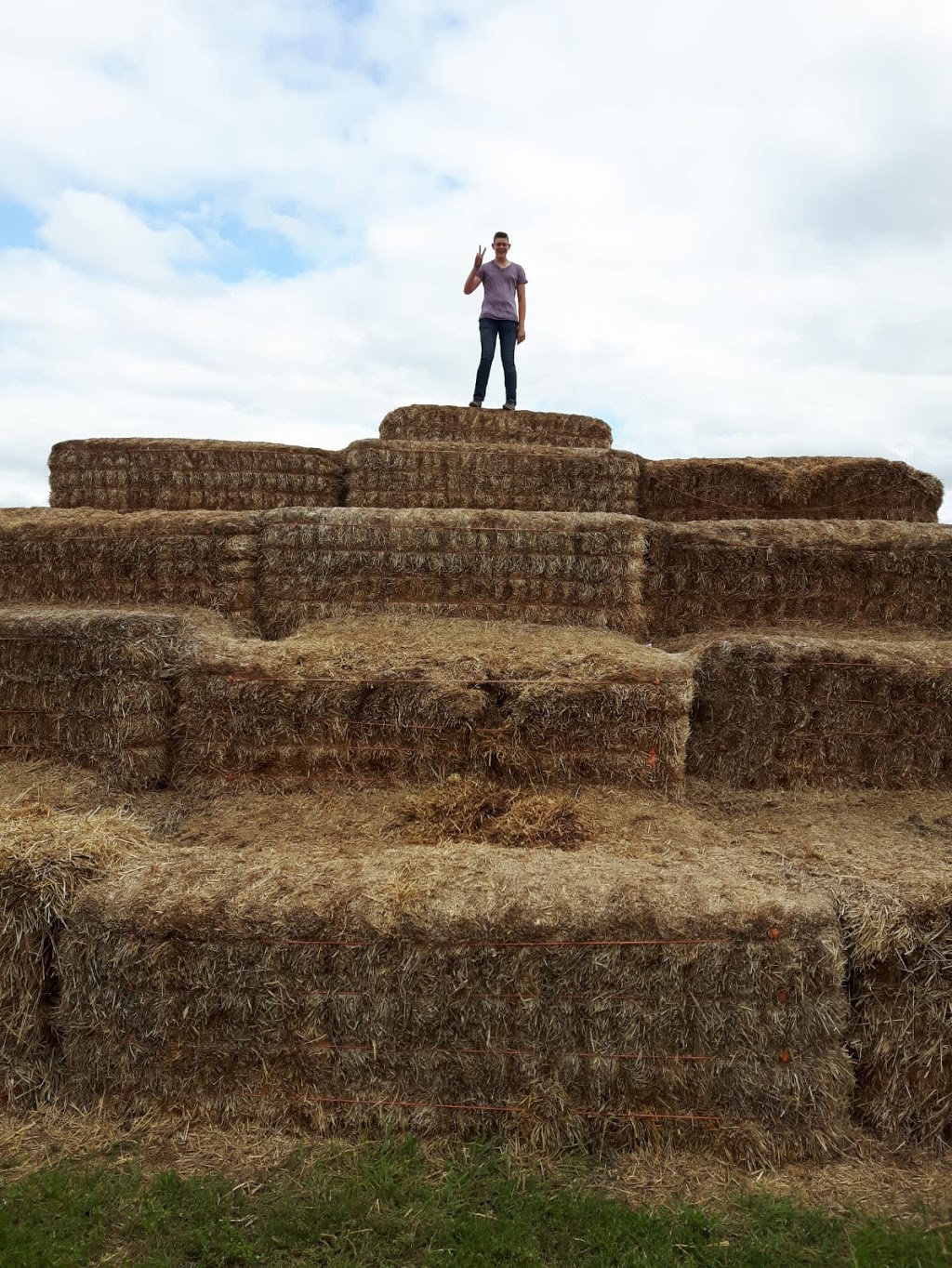 A Maze In Corn | 1351 MB-200, Saint Adolphe, MB R5A 1A2, Canada | Phone: (204) 883-2048