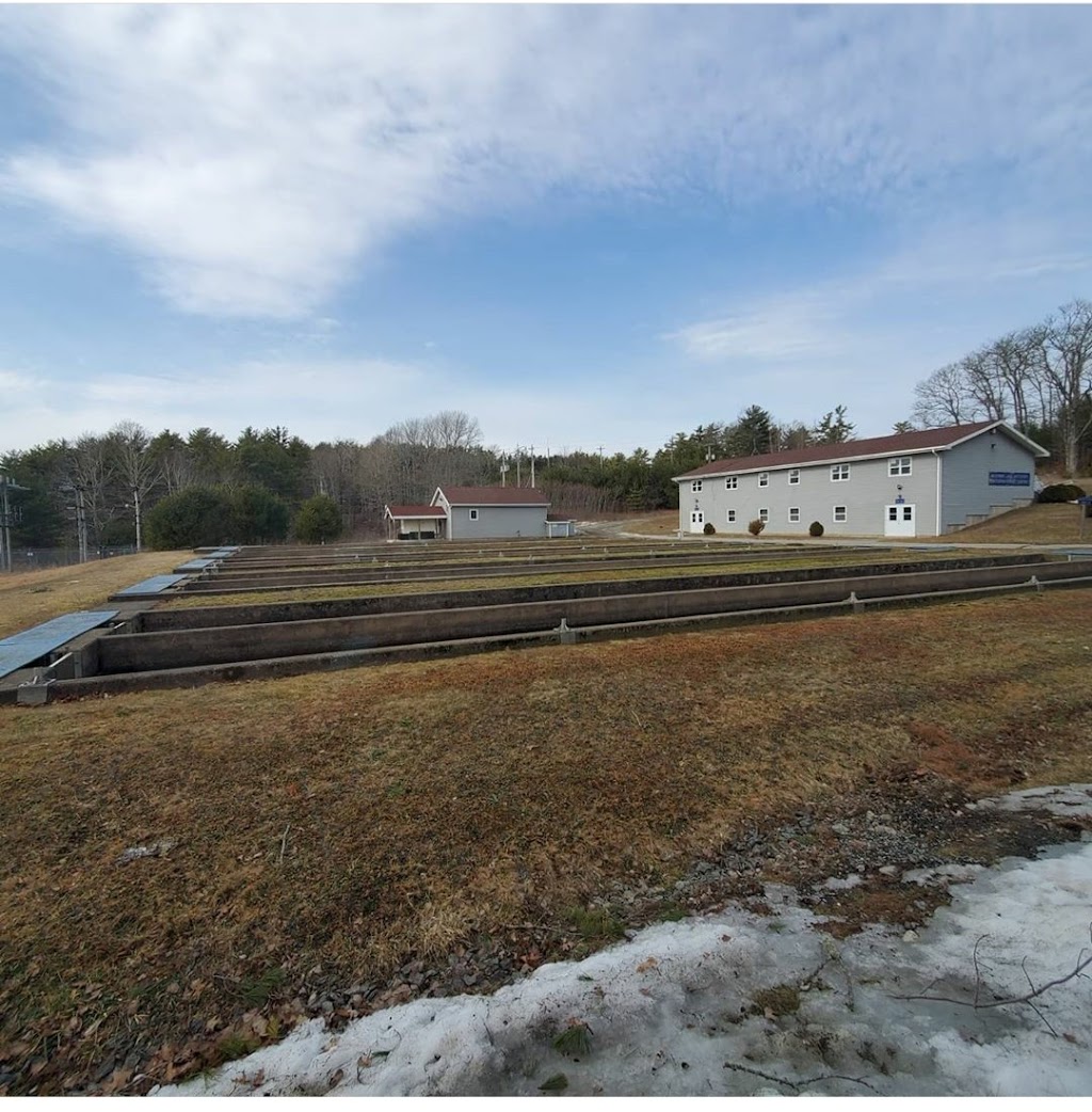 Mc Gowan Lake Fish Hatchery | 43 McGowan Lake Rd, Caledonia, NS B0T 1B0, Canada | Phone: (902) 682-2576