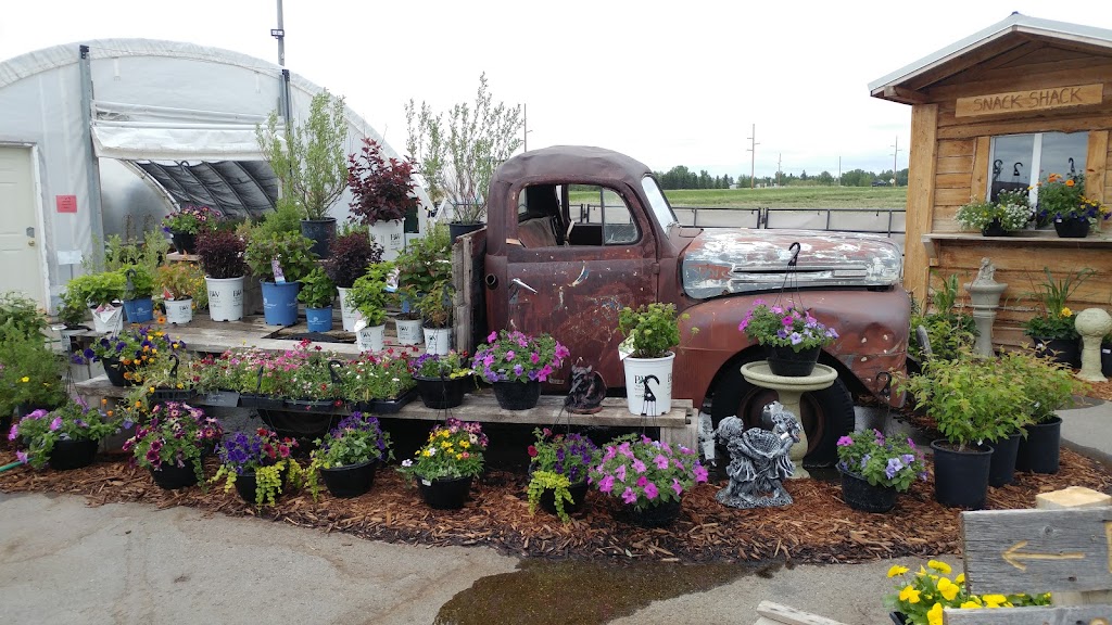 Country Furniture And Greenhouse. | Foothills County, Okotoks, AB T0L 0A0, Canada | Phone: (403) 938-4094