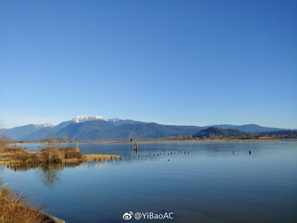 Deboville Slough | 3H8, Trans Canada Trail, Coquitlam, BC V3E 3H8, Canada