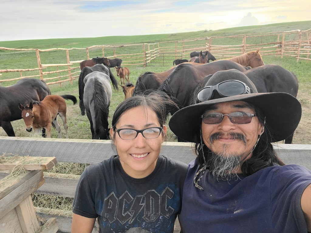 Kainai Farming & Ranching | #737, Stand Off, AB T0L 1Y0, Canada | Phone: 360-6117