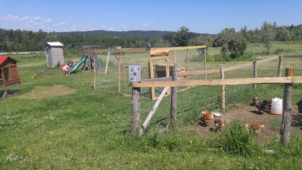 Ferme du Porc-Pic fermette touristique | 733 1e Rang, Saint-Simon-de-Rimouski, QC G0L 4C0, Canada | Phone: (418) 738-2334