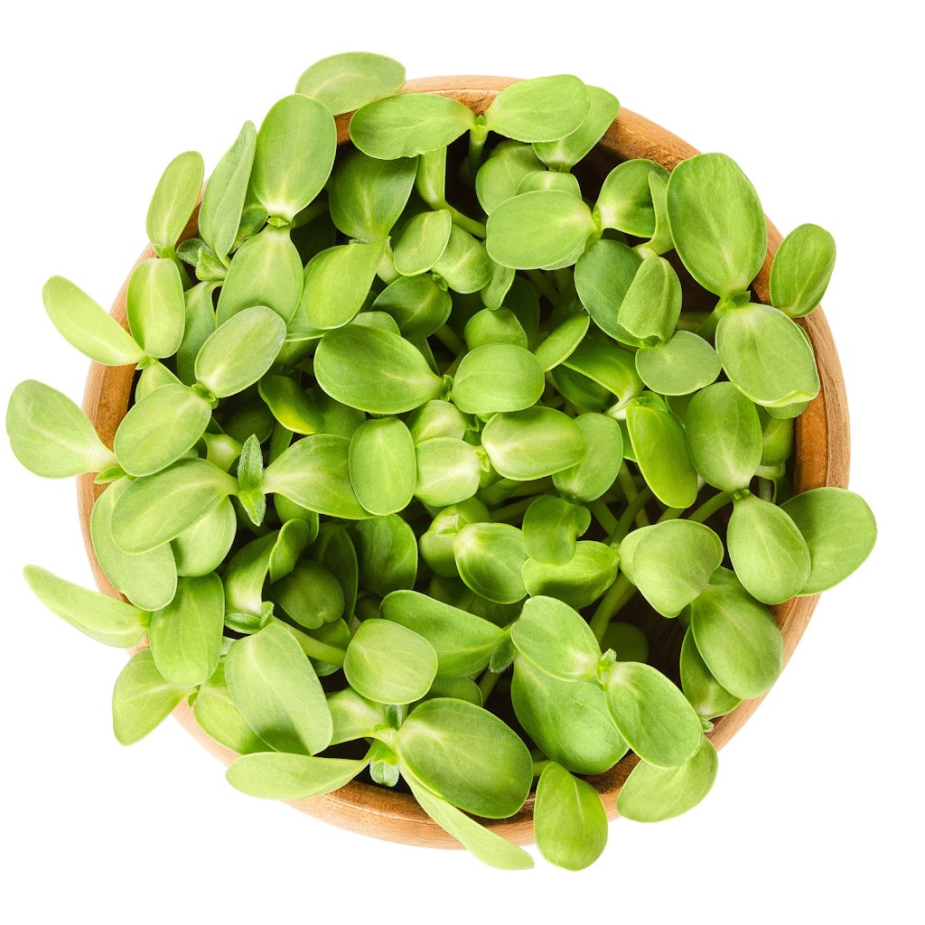 A&S Microgreens | 4144 St Catherines Dr #1, Cobble Hill, BC V0R 1L3, Canada | Phone: (250) 710-6135