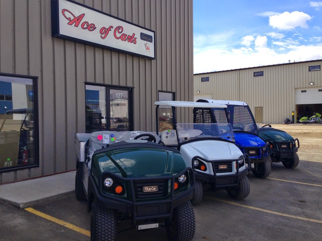 Ace of Carts | 127 Wheeler St, Saskatoon, SK S7P 0A4, Canada | Phone: (306) 664-2582