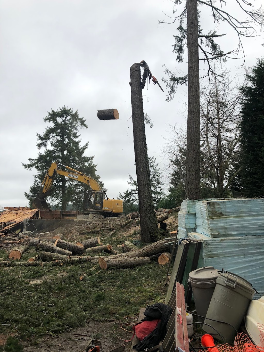 Cullen Tree Service | 6252 Oldfield Rd, Saanichton, BC V8M 1X7, Canada | Phone: (250) 644-3494