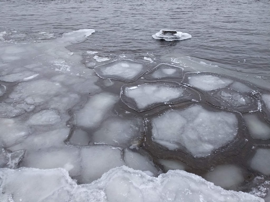 Remic Rapids | Sir John A. Macdonald Parkway, Ottawa, ON K1Y, Canada