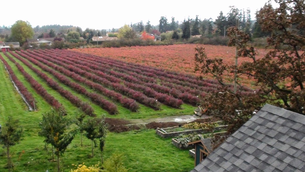 Ruby Red Farms | 11121 Rosborough Rd, North Saanich, BC V8L 5M3, Canada | Phone: (250) 655-3368